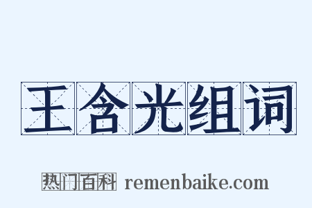 王含光组词是什么意思的图片